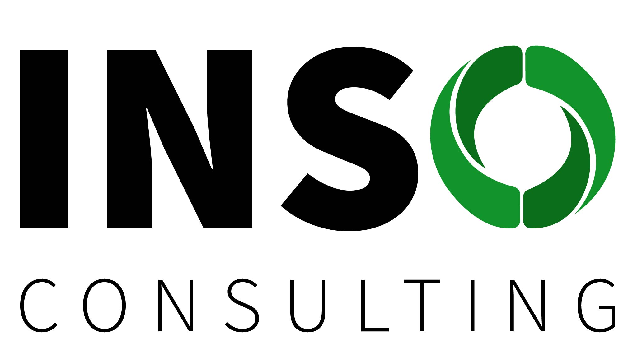 INSO Consulting Logo