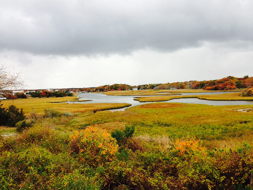 Craigville Marsh