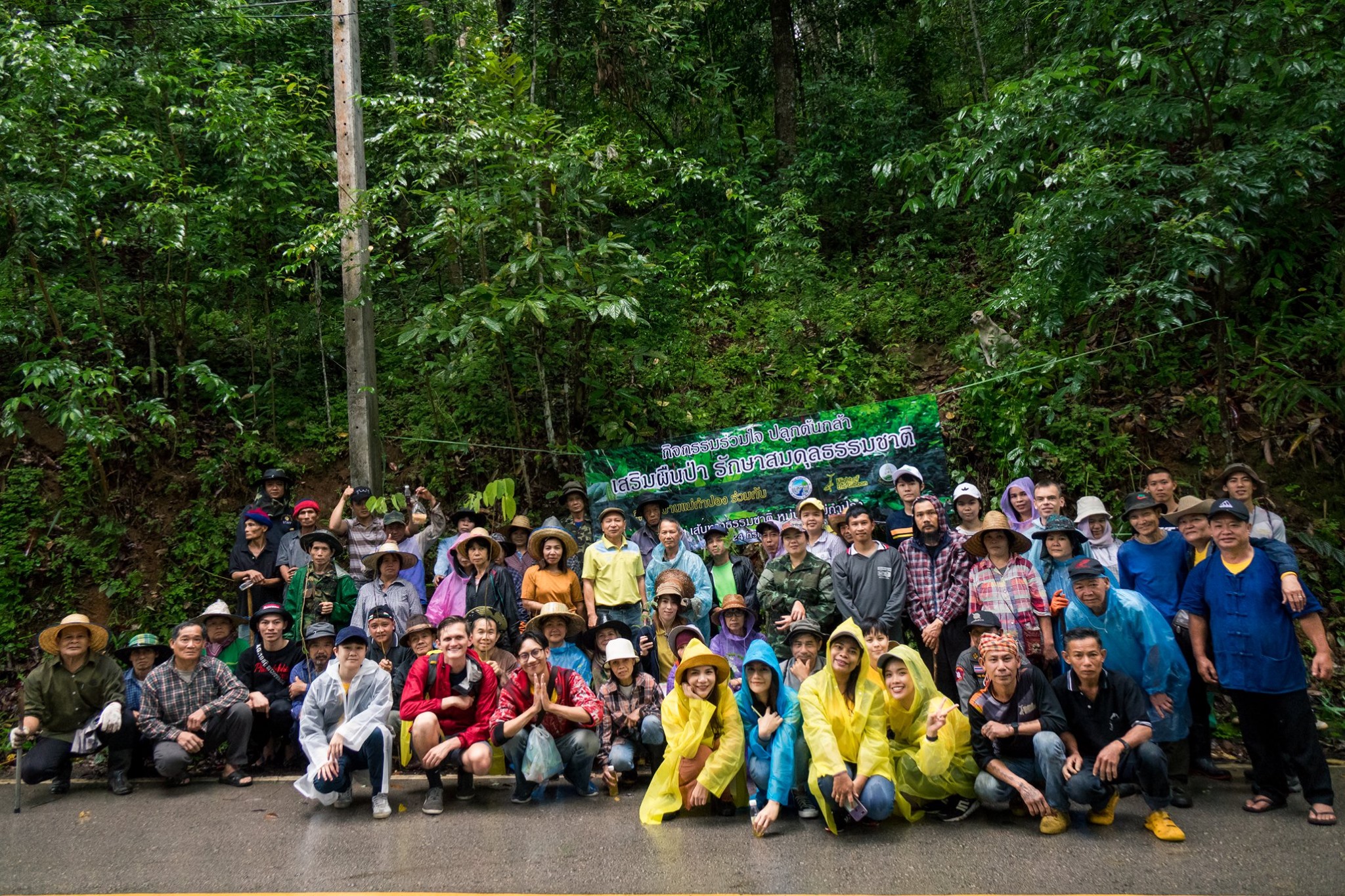 Tree Planting Chiang Mai Thailand -