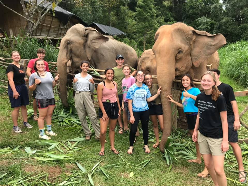 Student program participants work at a refuge for elephants in Thailand.