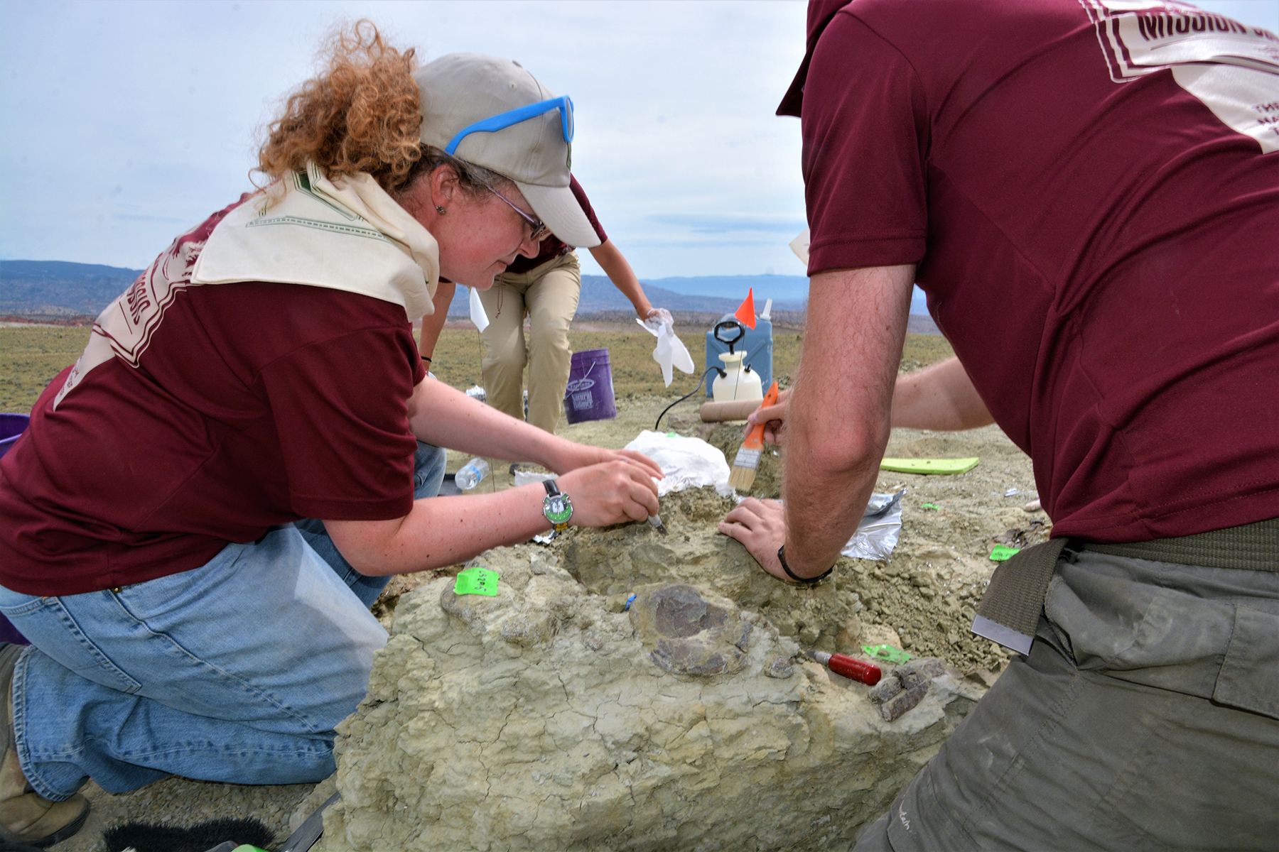 Islands (of fossils) in the stream may have led to this unique discovery in the Jurassic Mile.