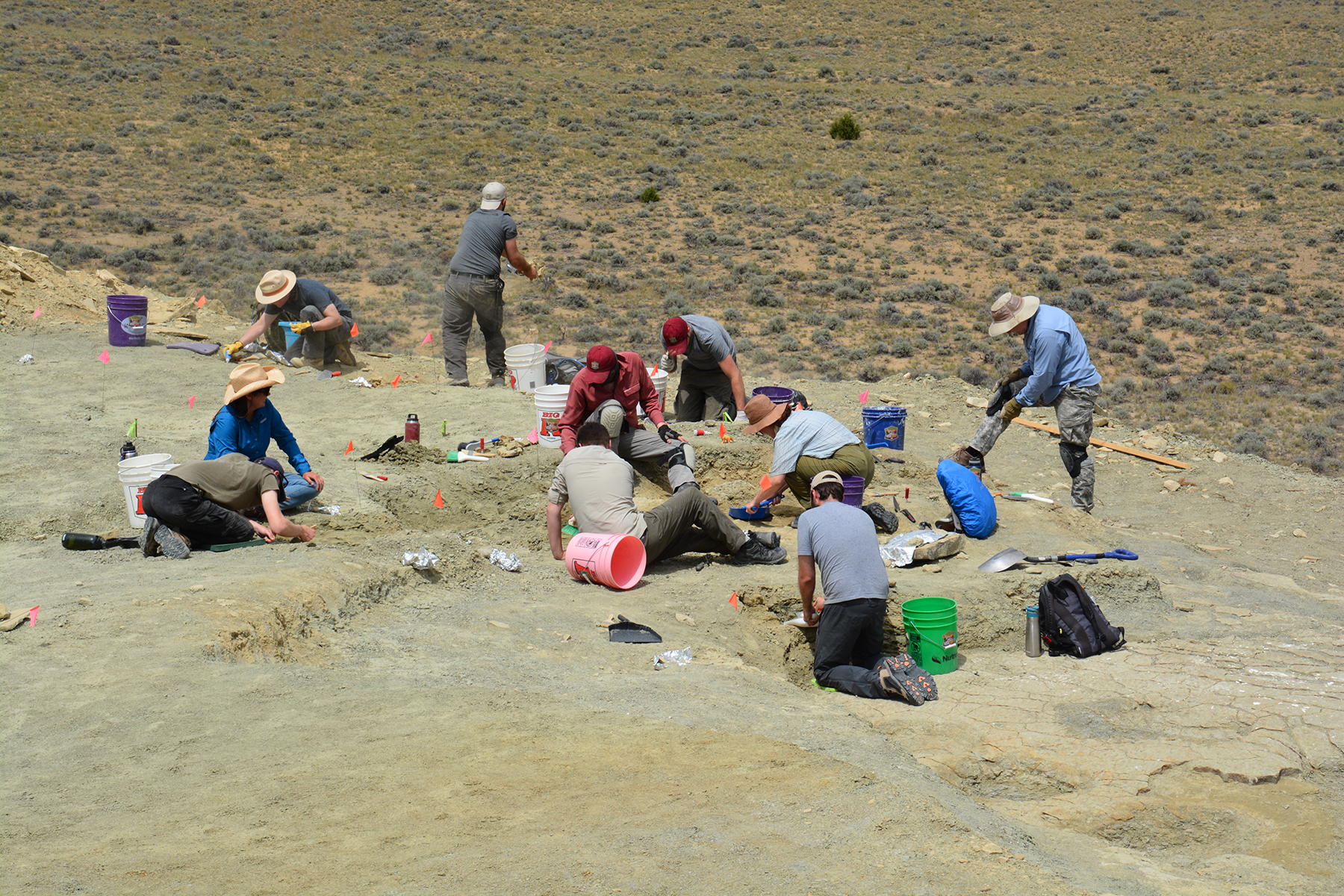 Fossils are everywhere and in some cases are a couple layers thick at The Jurassic Mile.