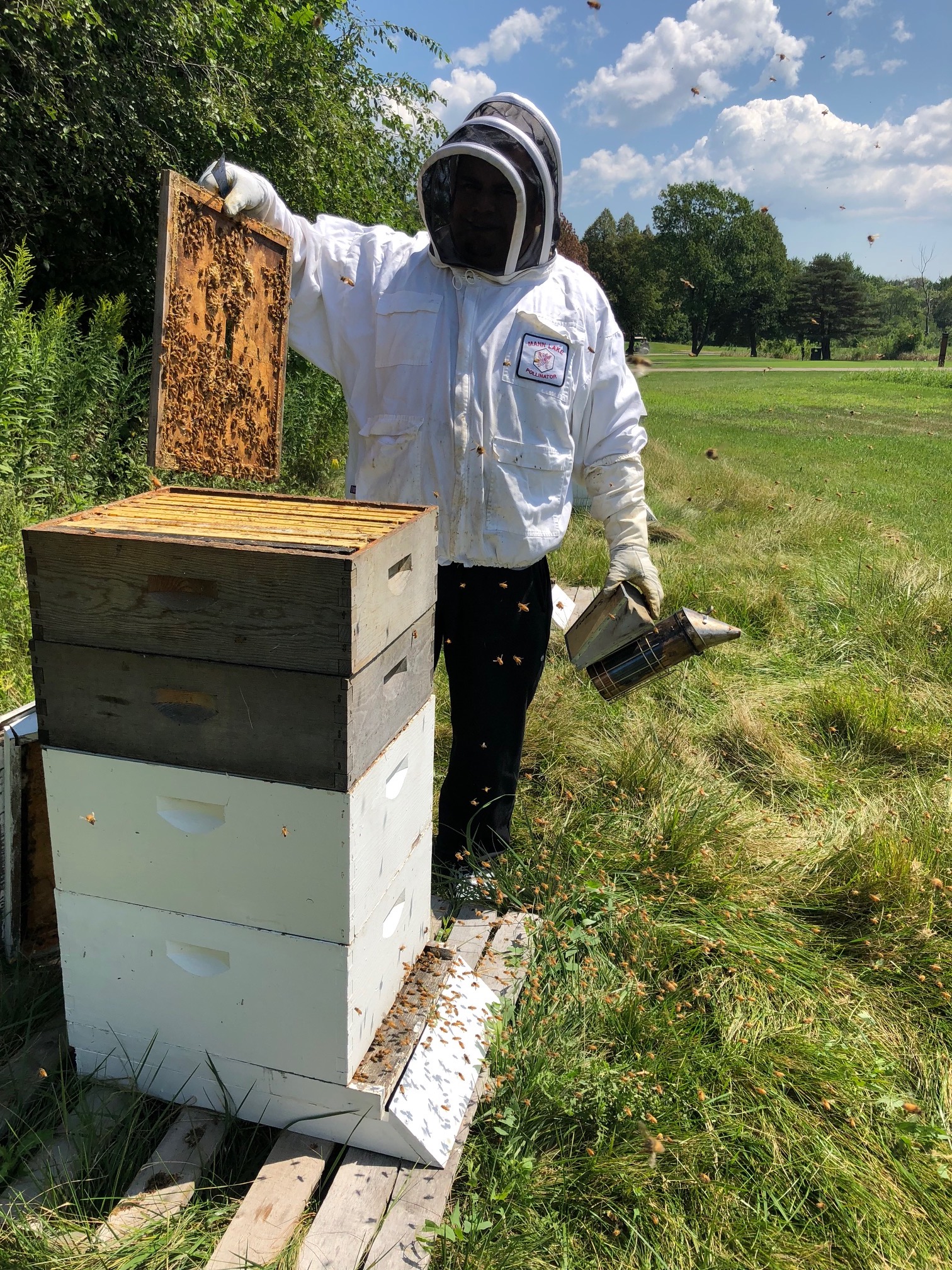 Honey Frame with Bees, Photo Credit Lincolnshire Marriott Resort