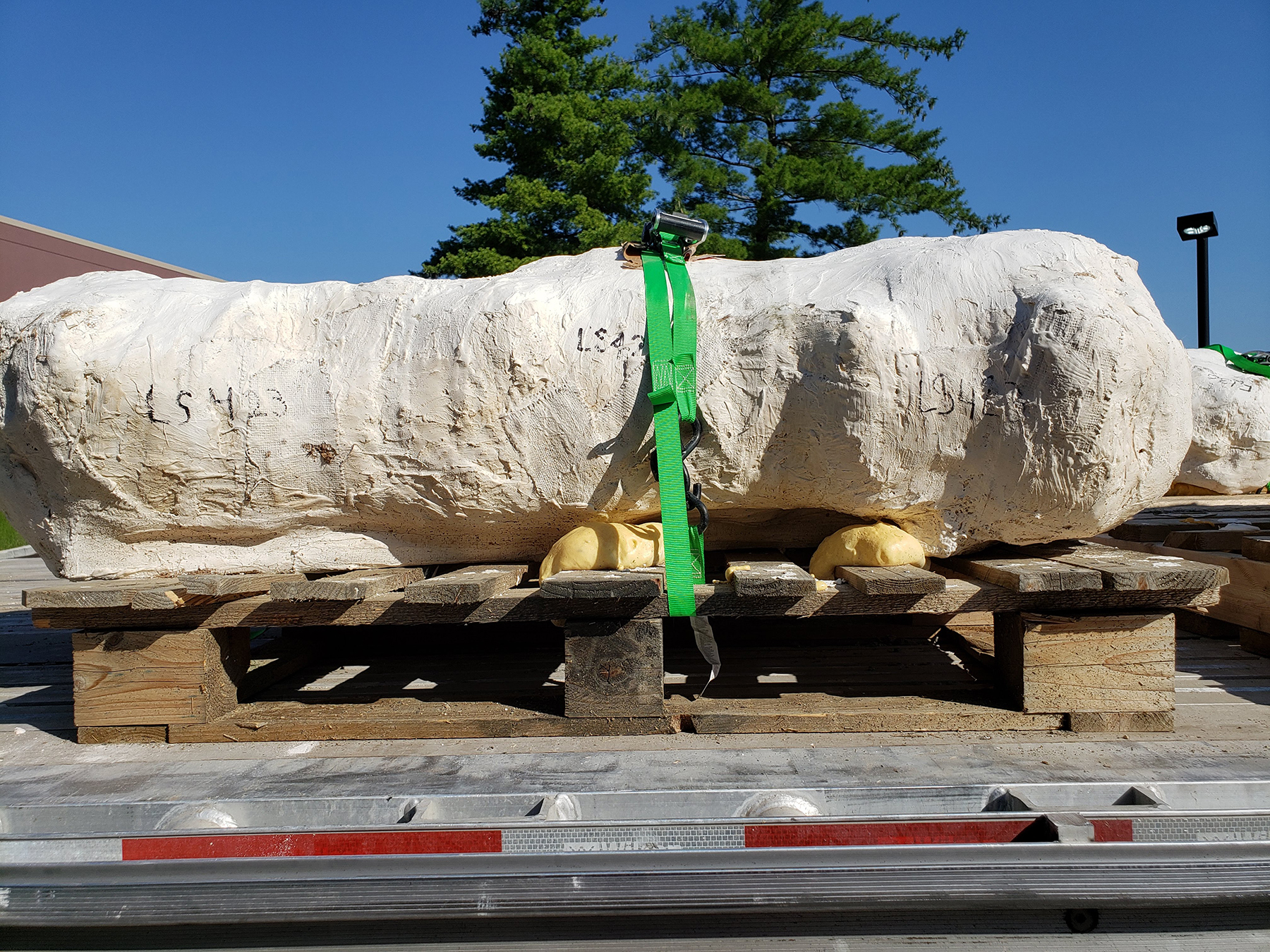 Parts of huge dinosaur beasts arrive at The Children's Museum of Indianapolis.