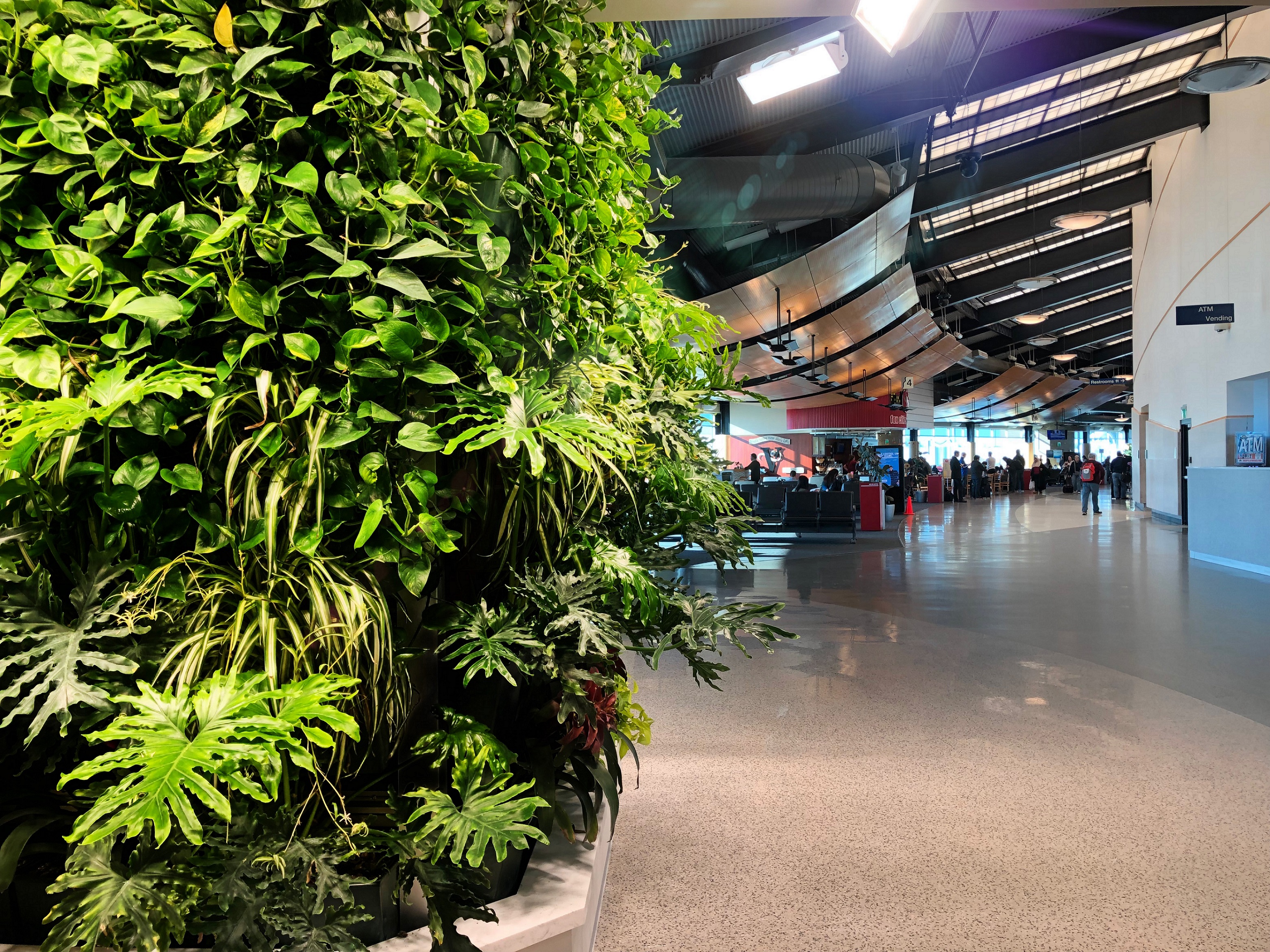 The vibrant tropical plants in the living wall provide a calming, natural atmosphere for travelers.