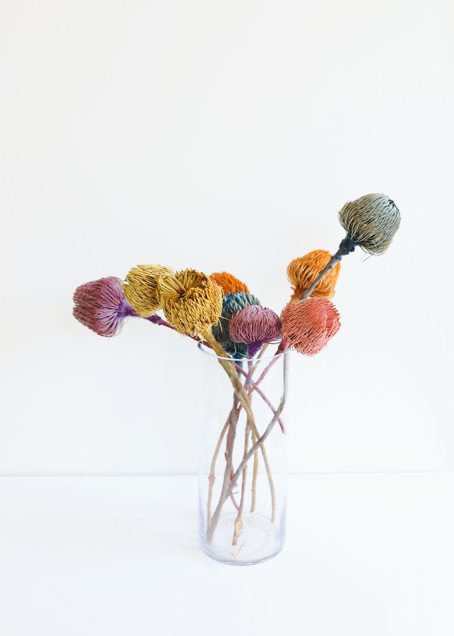 Colored Dried Banksia Pods