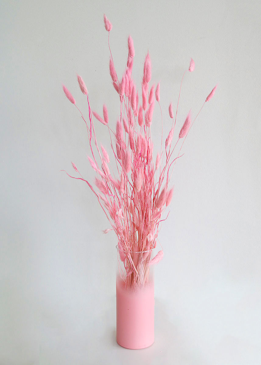 Dried Pink Bunny Tail
