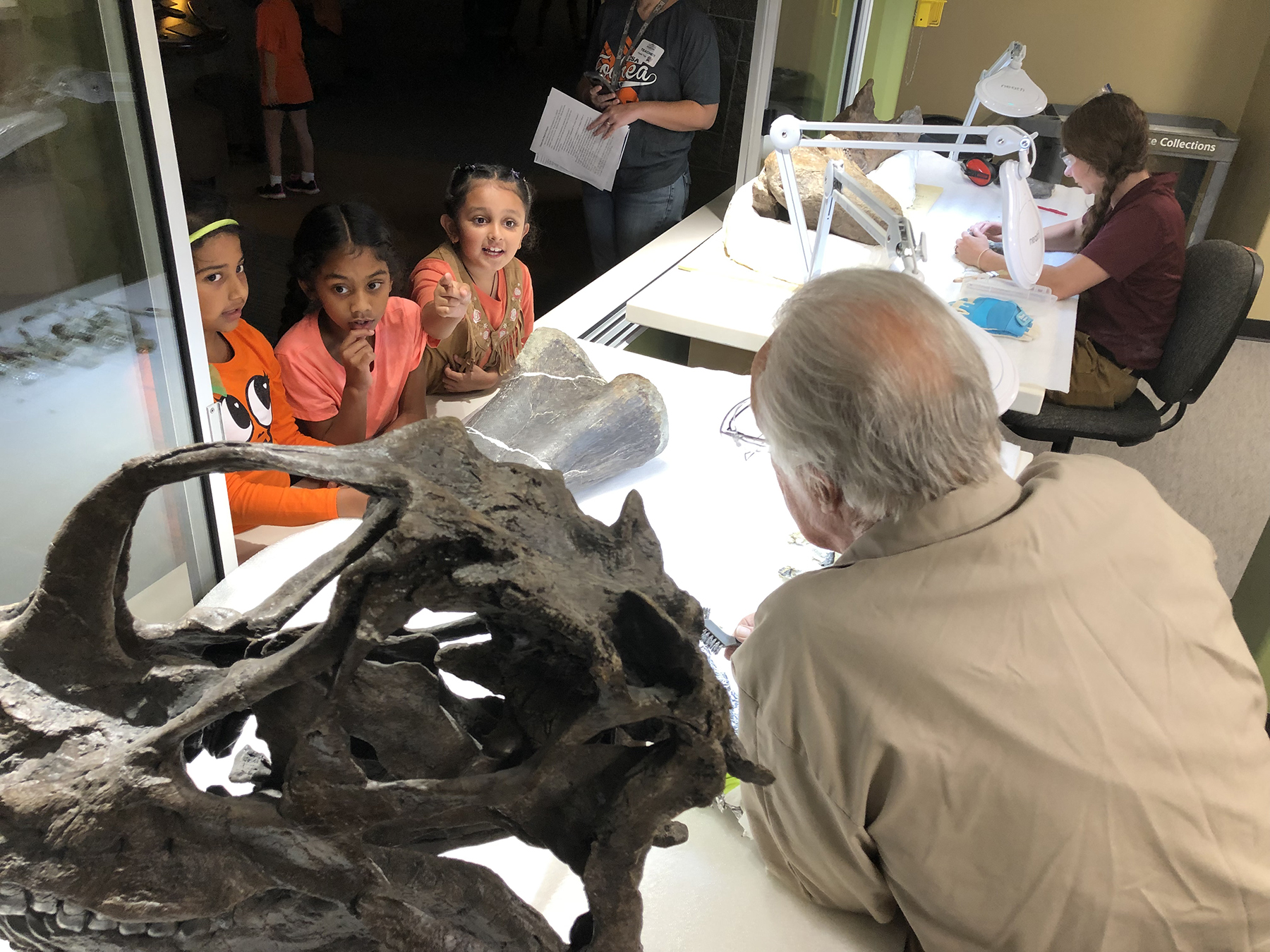 Children and families touch 150 million year old dinosaur fossils.