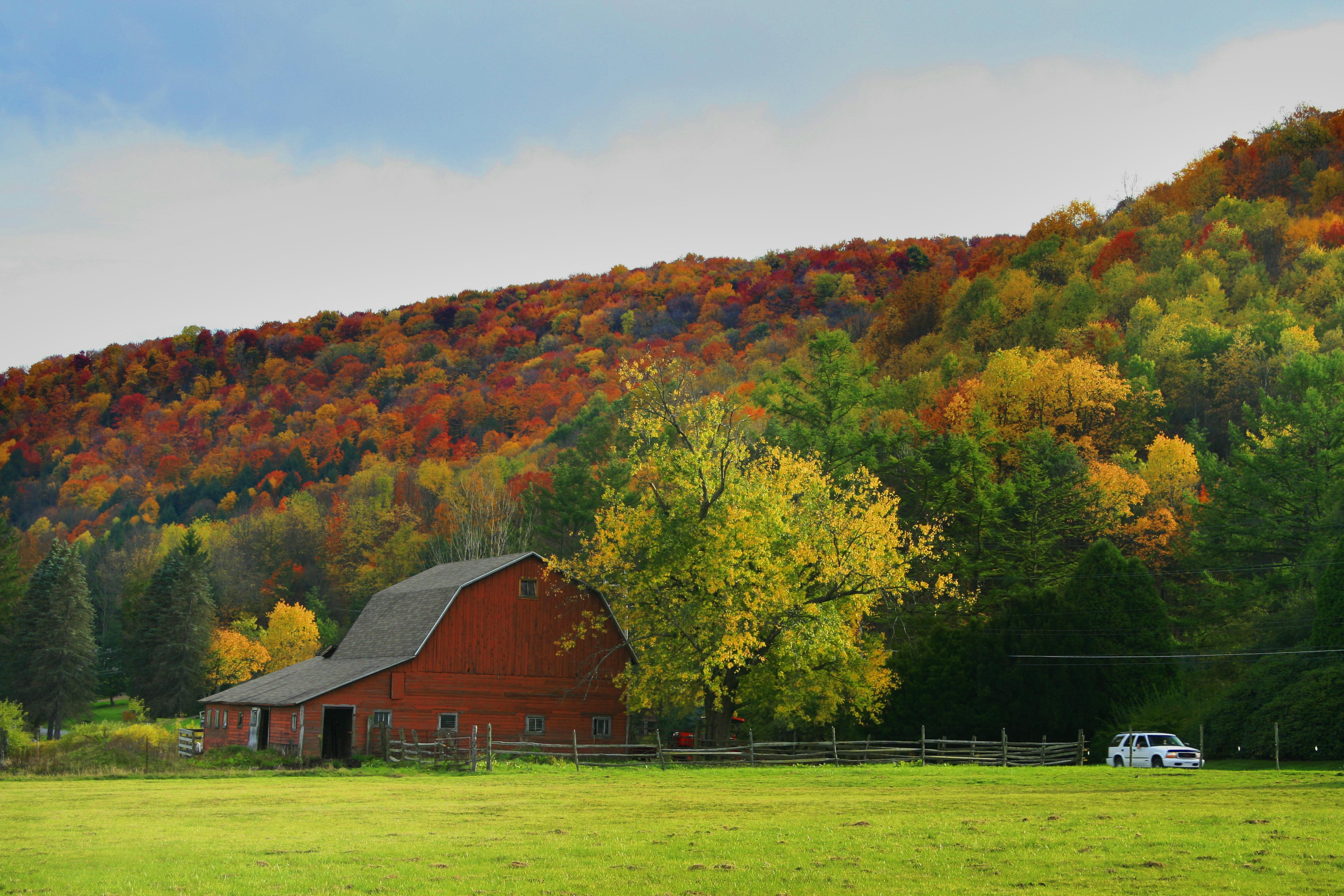 Canopies of fall color along Pennsylvania scenic Route 6