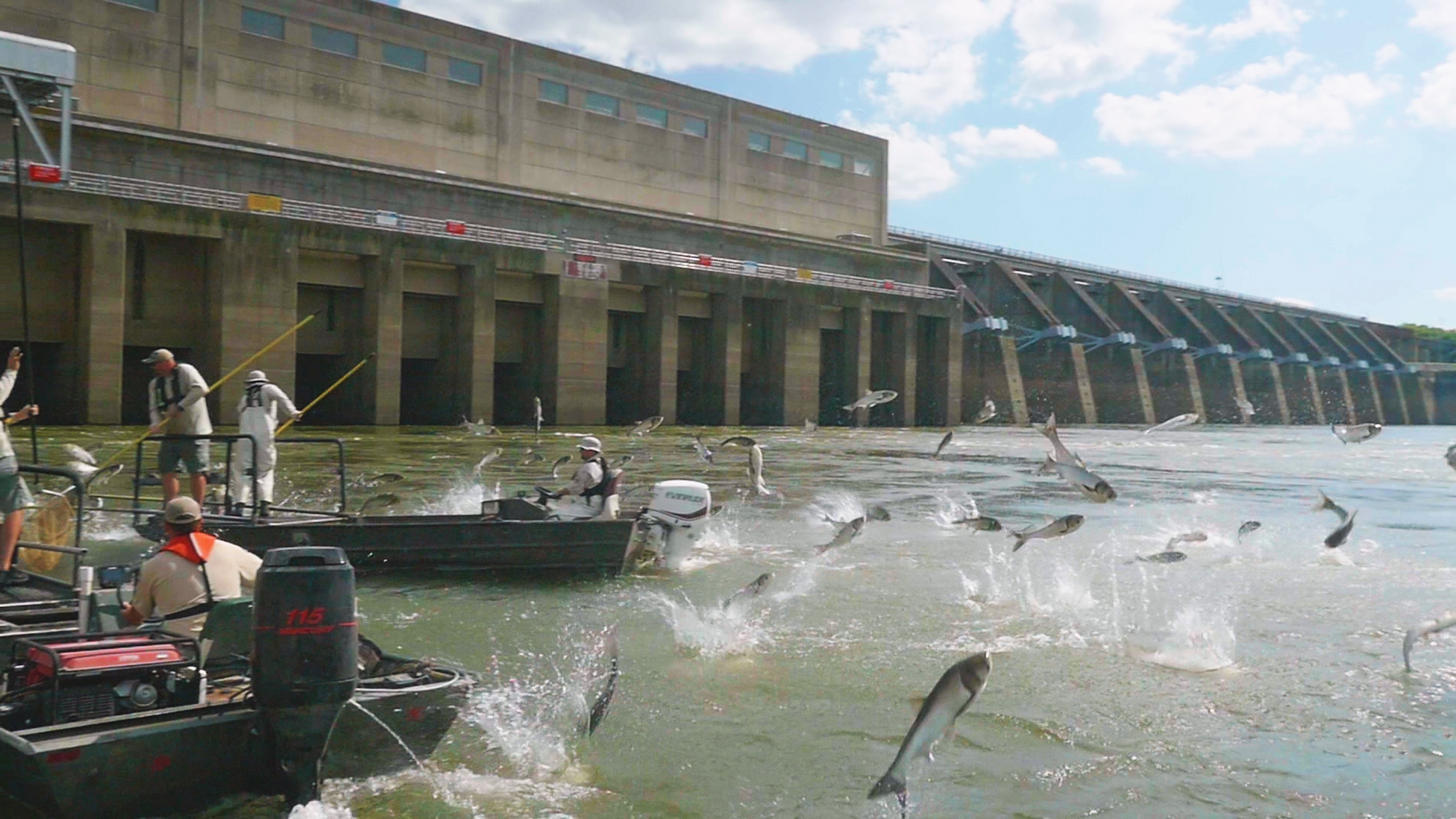 Biologists from Tennessee Wildlife Resources Agency and Kentucky Department of Fish & Wildlife use electrofishing boats to catch Silver Carp in the Lake Barkley Dam tailwaters.