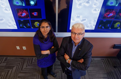 Drs. Shipra Gandhi and Pawel Kalinski will lead a Department of Defense-funded clinical trial assessing a three-pronged immunotherapy strategy for metastatic breast cancer.