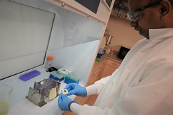 Govind Chilkoor, Ph.D., SD Mines research scientist, examines a biofilm on a steel sample.