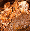 Over 75 Pounds of Honeycomb Removed
