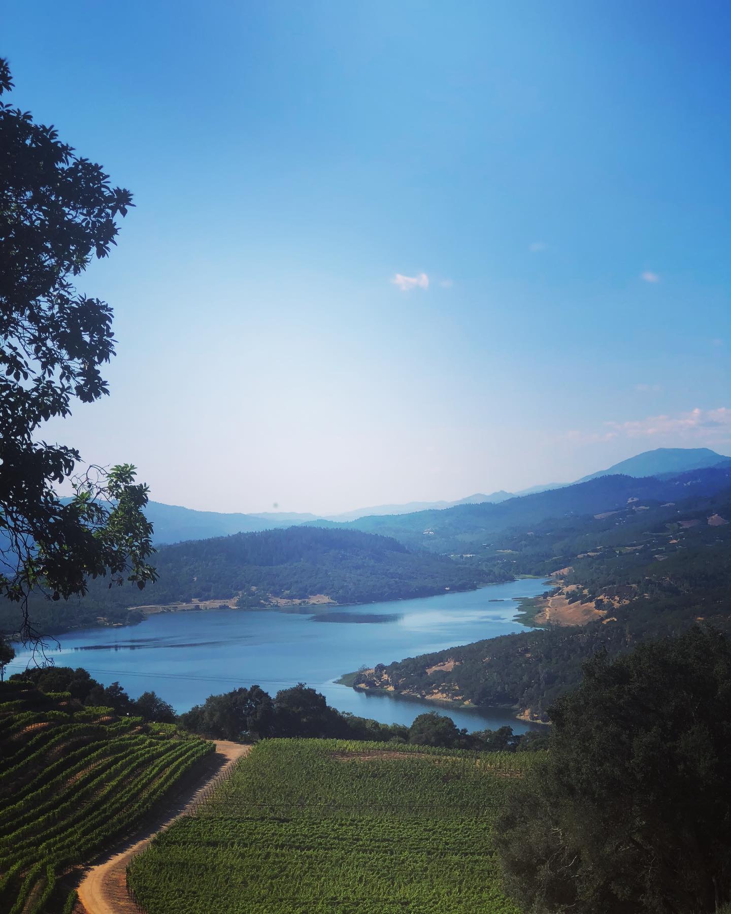 Pulido-Walker's Melanson Vineyard offers breathtaking views of Lake Hennessy.