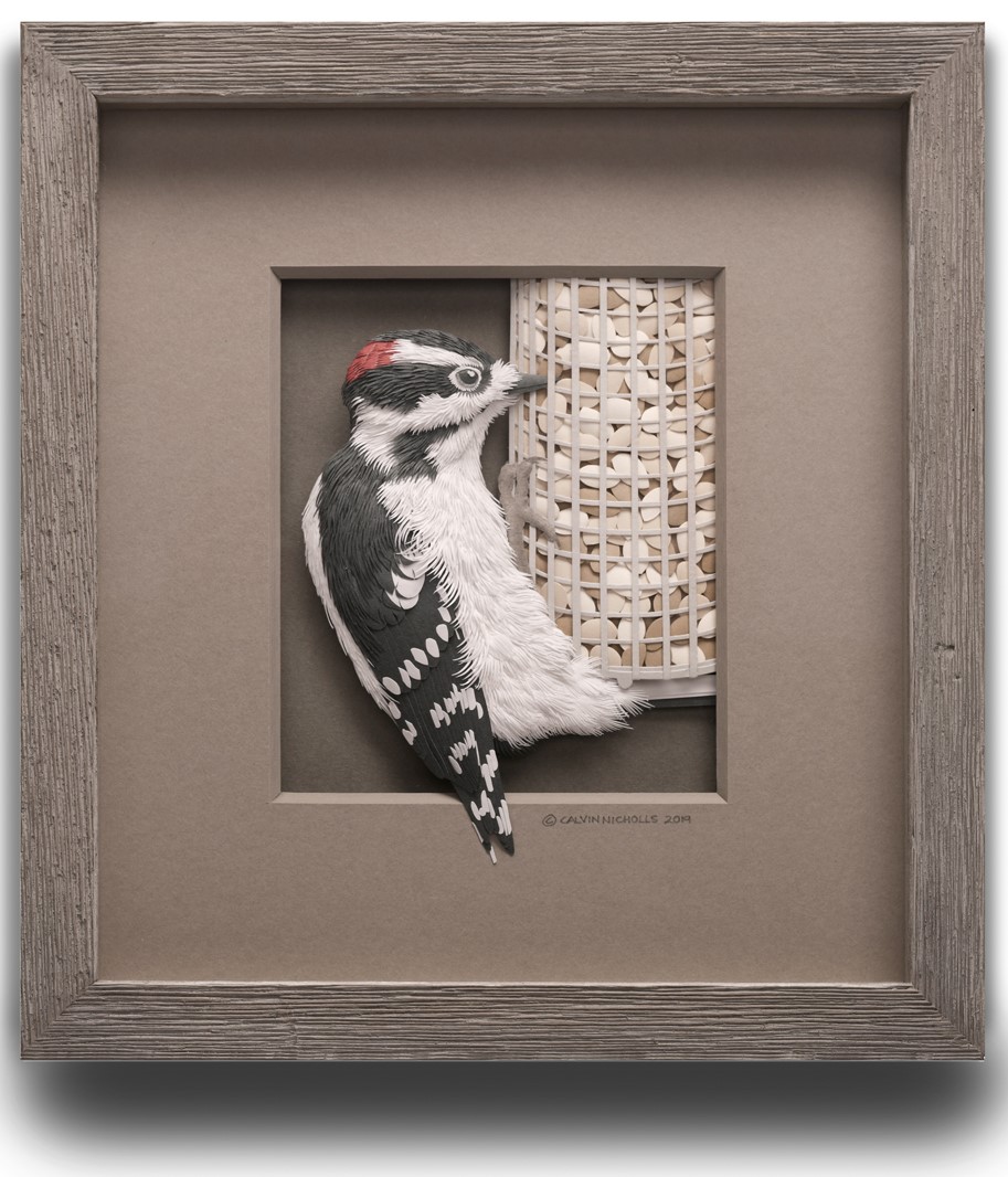 Featured Downy Woodpecker Paper Sculpture by Renowned Artist Calvin Nicholls (C) 2019.