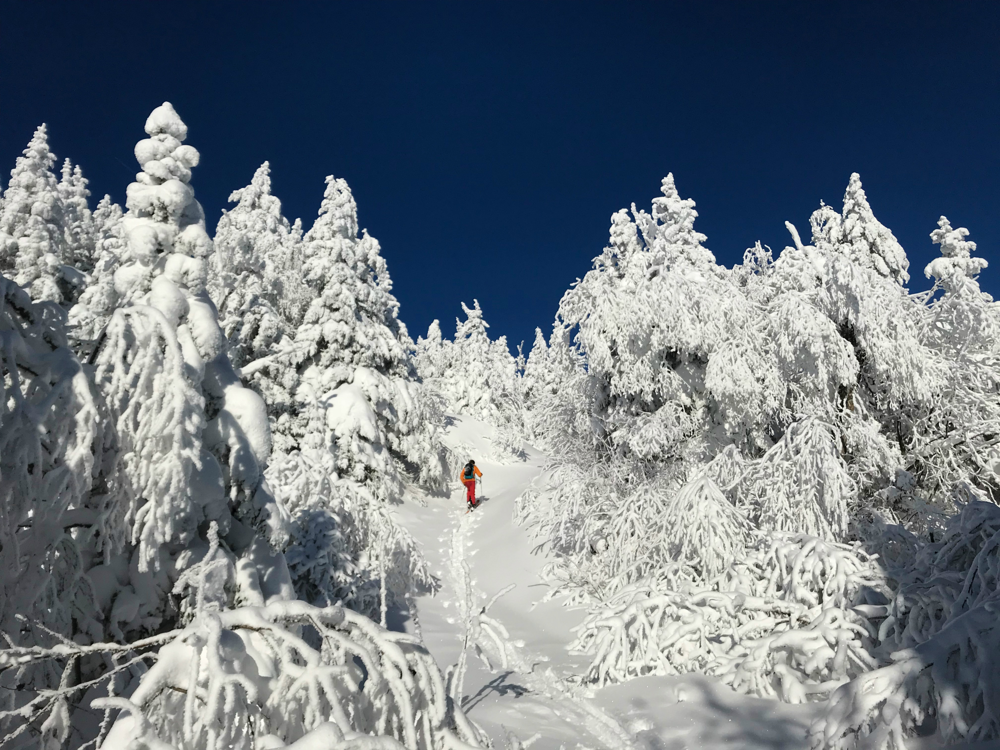 A skier climbs high into the Vermont backcountry at Bolton Valley Resort. Backcountry skiing is among the hottest trends on the Vermont alpine skiing scene this season. (Photo by Adam DesLauriers)
