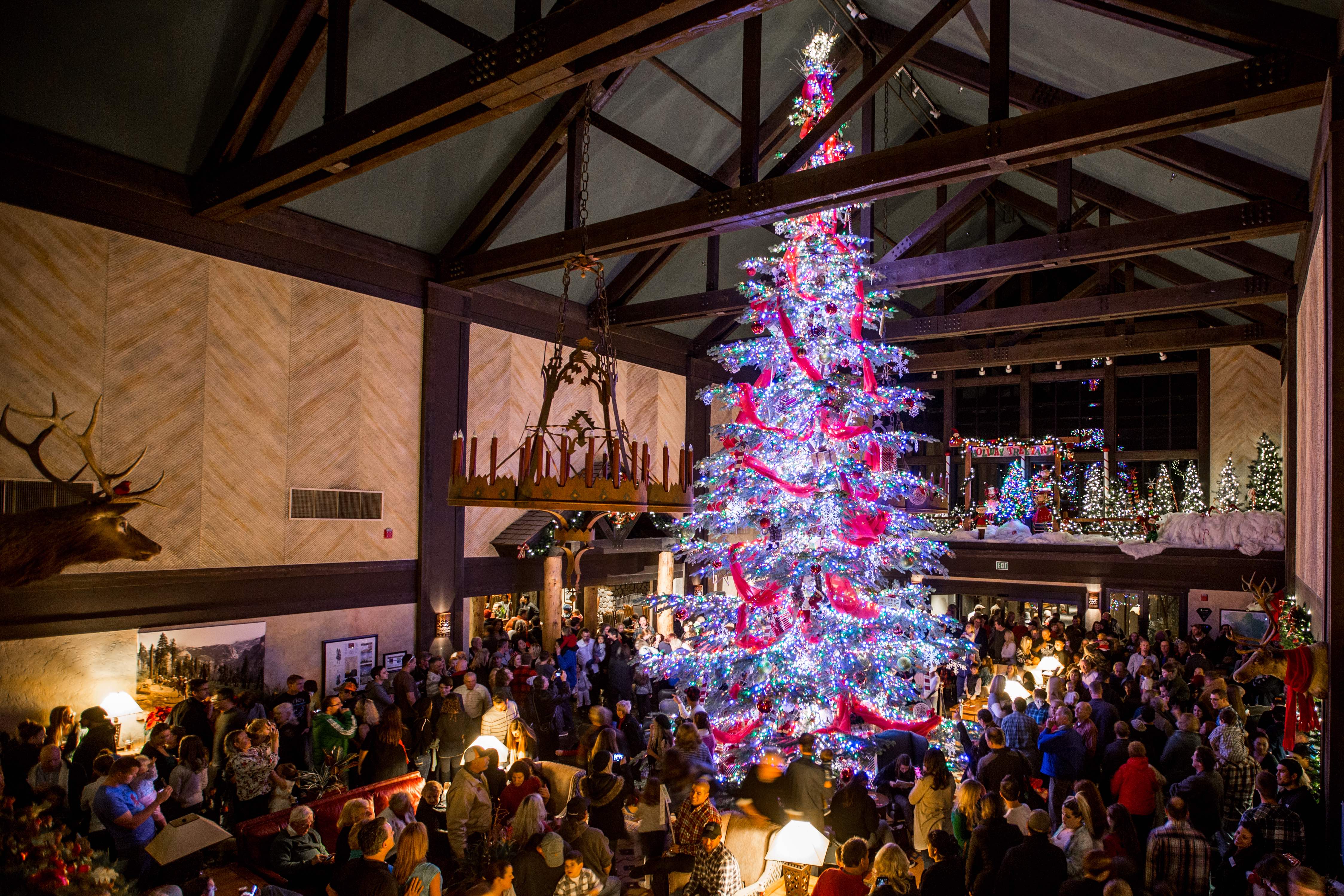 Tenaya's 35-foot holiday tree is sustainably harvested and among the tallest in California's Central Valley.