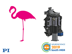 Flamingo Light-Sheet Fluorescence Modular Research Microscope at PI’s Booth #404