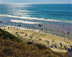 high angle view of runners on a beach