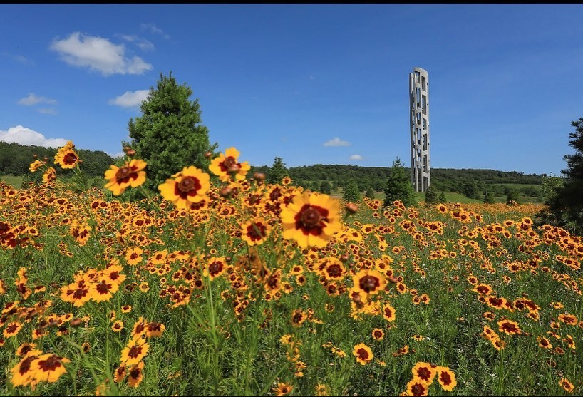 The Tower of Voices among a field of wildflowers at the Flight 93 National Memorial