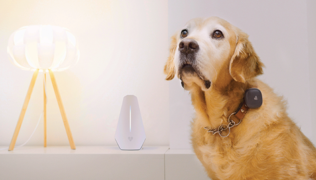 Findster Home: Track your pets' location 24/7 from anywhere!