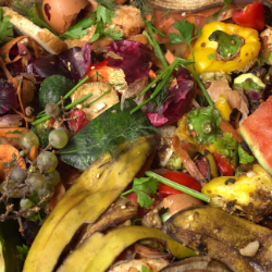 Anti-Food Waste Coalition Aims to Help Economy, Environment and the Hungry