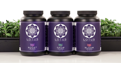 Lotus powdered nutrients