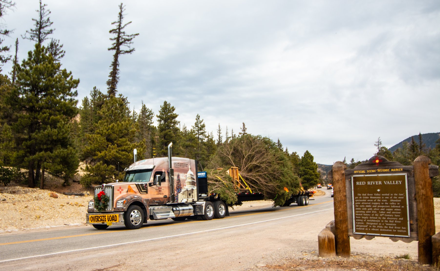 The 2019 Capitol Christmas Tree came from the Red River Valley in Carson National Forest. Photo credit James Edward Mills.