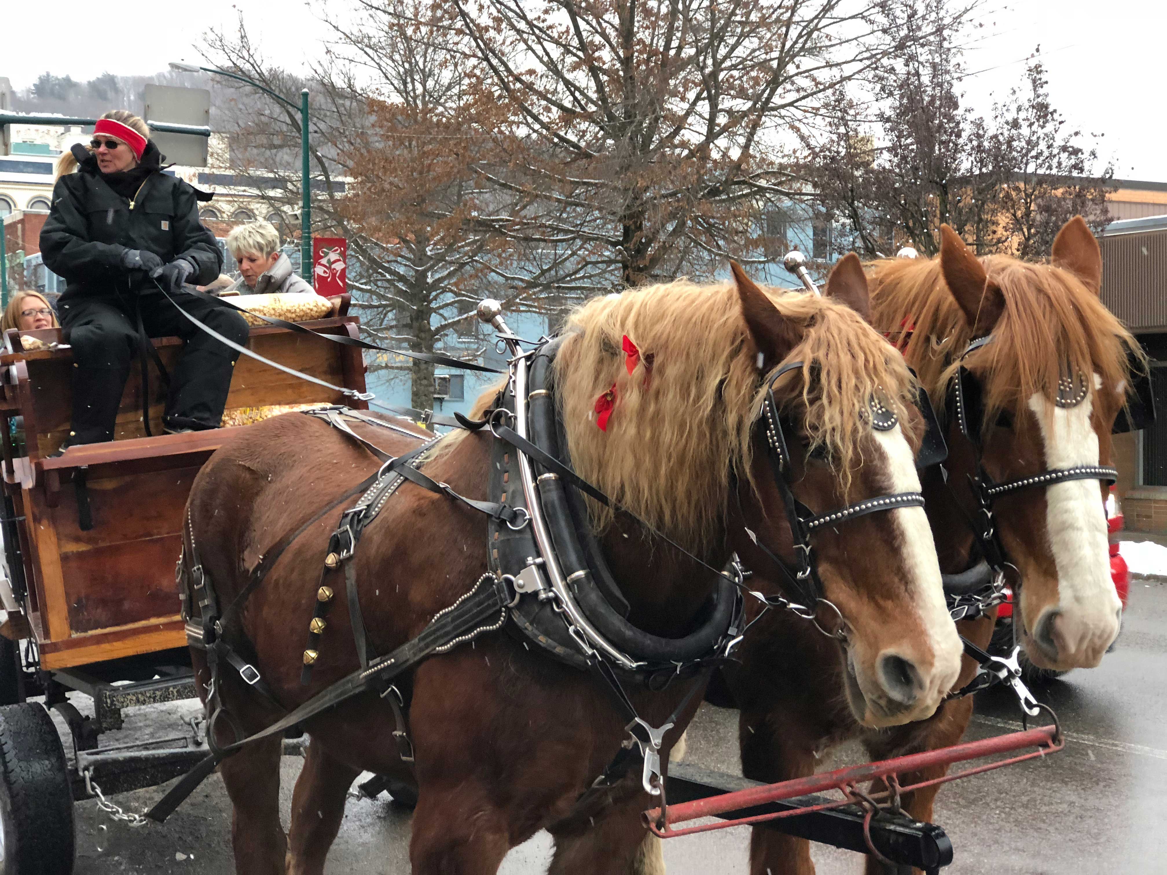 Enjoy an old fashioned carriage ride during Bradford's Downtown Old Fashioned Christmas Event.