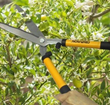 The Centurion Garden and Outdoor Living Cutting Set ($30), a handy cutting tools set, includes a lopper, pruner, and hedge shears. Your loved one will be able to tackle any garden cutting project.