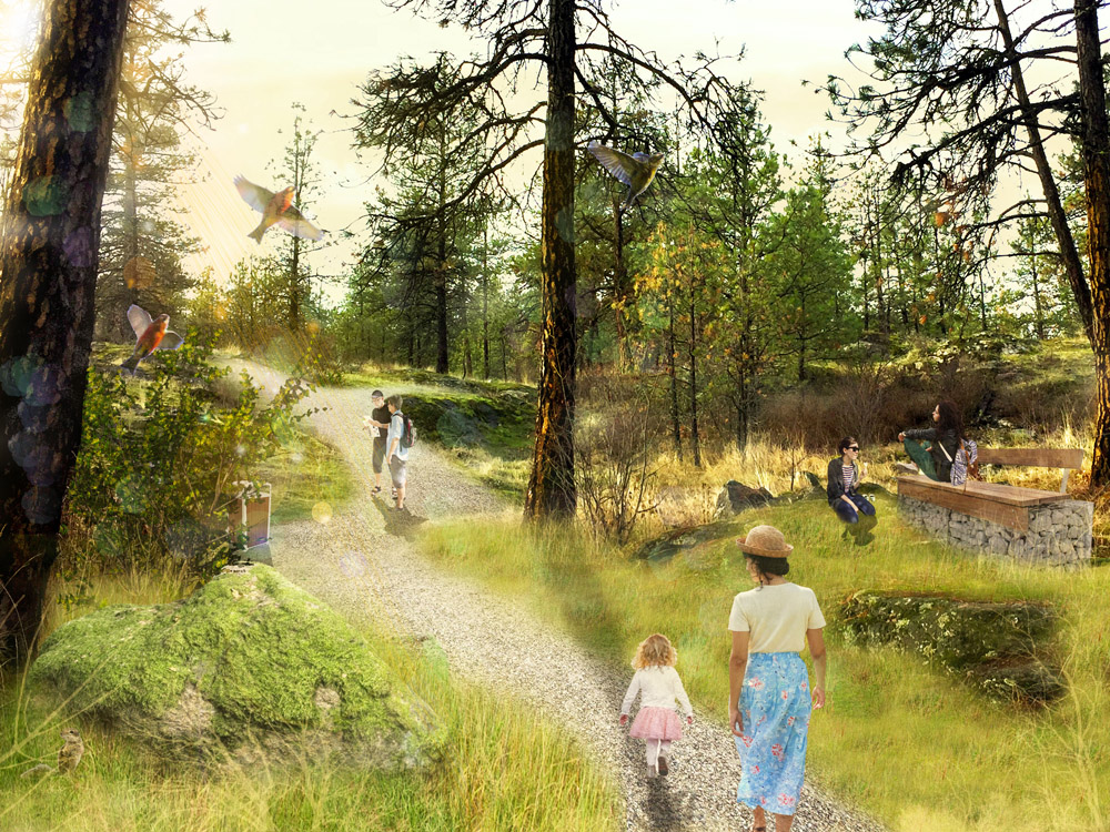 An off-the-beaten-path rest area – part of Civitas’ design for a system of trails and seating for Black Bay Park’s wildland acres – offers forest contemplation (renderings courtesy of Civitas Inc.).