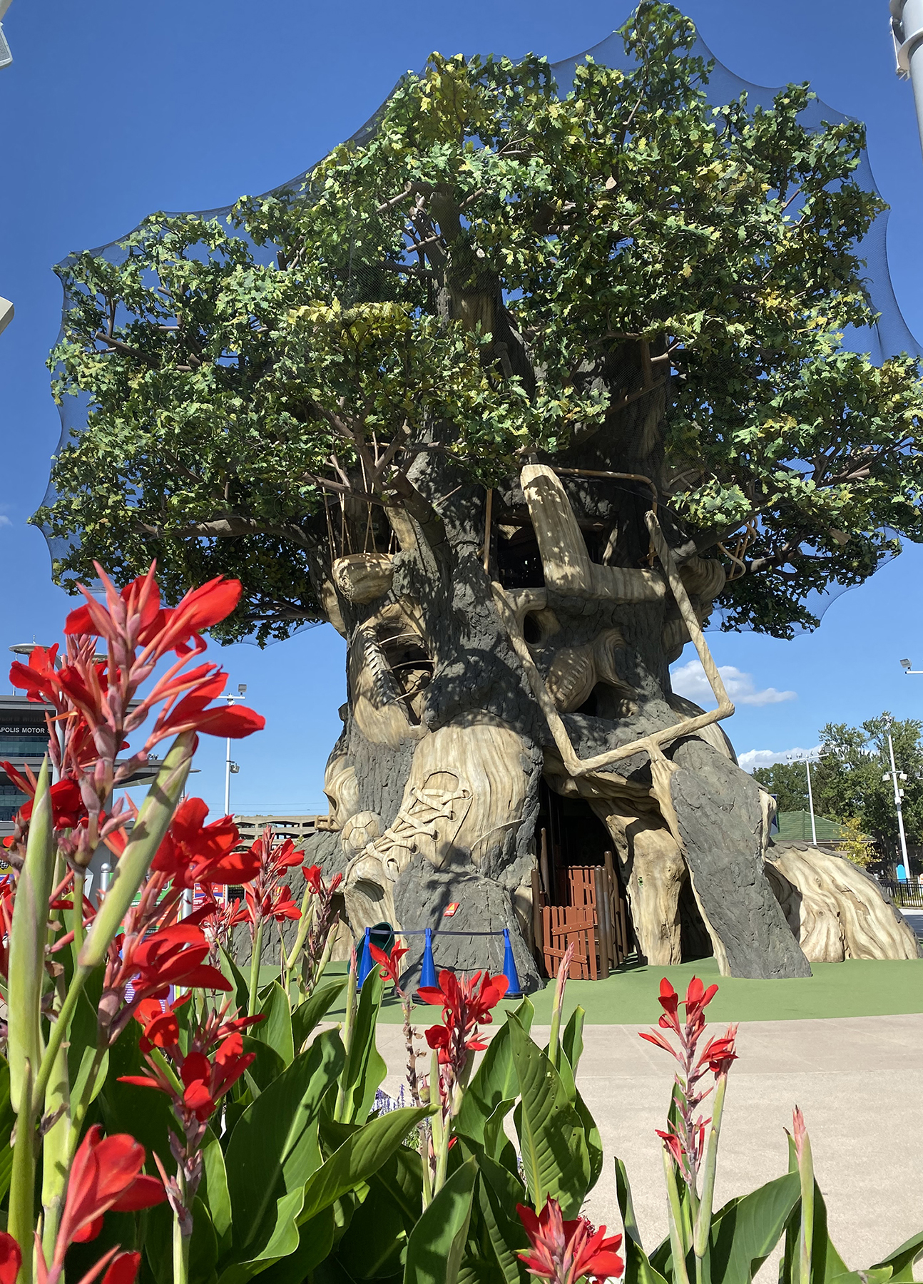 Towering Tree of Sports