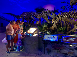 Meet real dinosaur fossils and learn all about their past at The Children's Museum of Indianapolis.