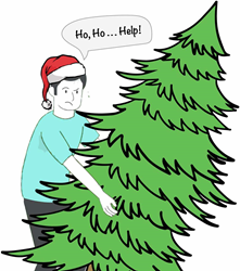LoadUp Christmas Tree Disposal Services