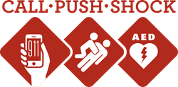 Call-Push-Shock logo