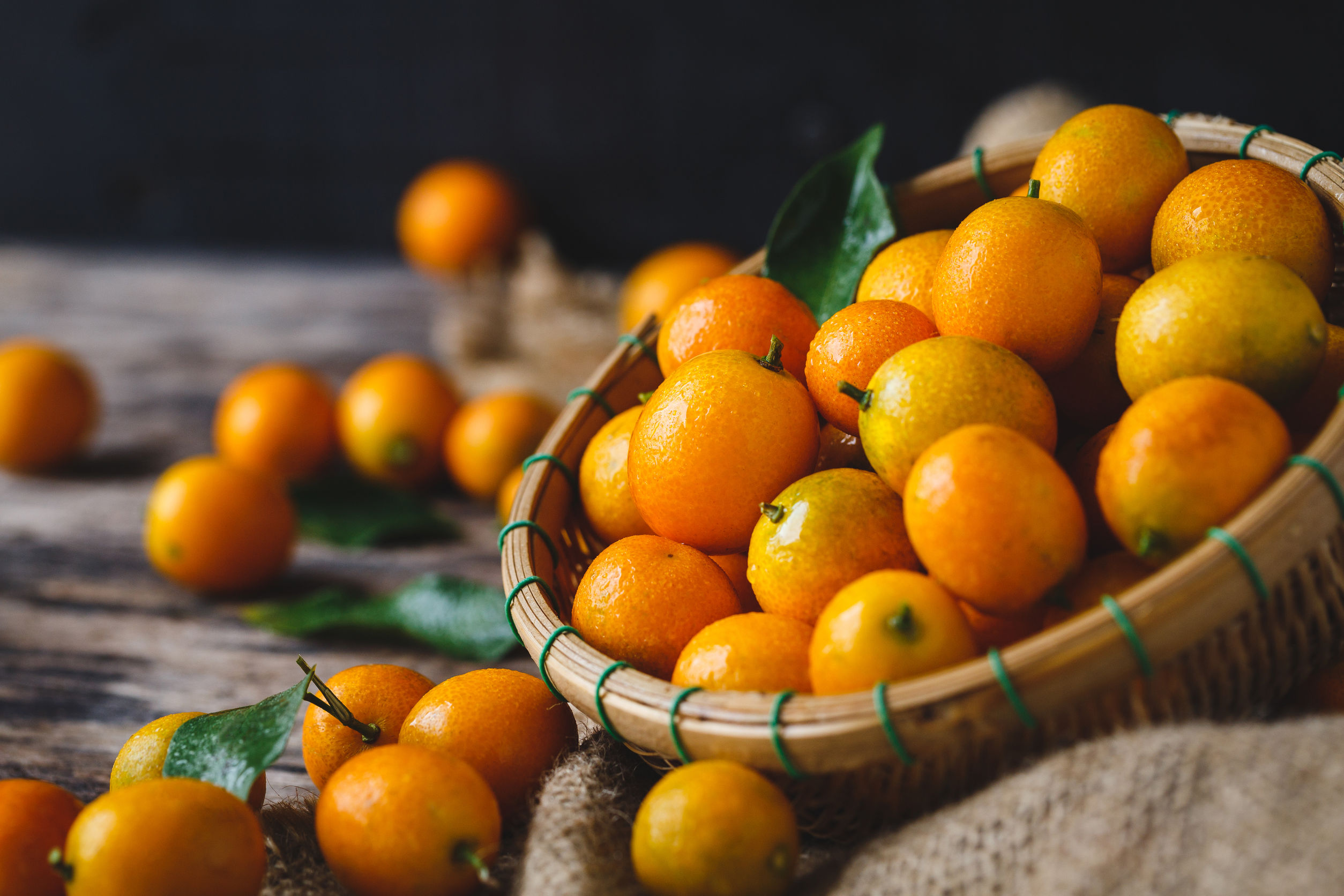 The Nagami variety of kumquats grown in Dade city feature a thin, sweet skin and a slightly tart center.  They are about the size of a cherry tomato and should be eaten fresh like a grape, peel and al