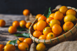 The Nagami variety of kumquats grown in Dade city feature a thin, sweet skin and a slightly tart center. They are about the size of a cherry tomato and should be eaten fresh like a grape, peel & alll
