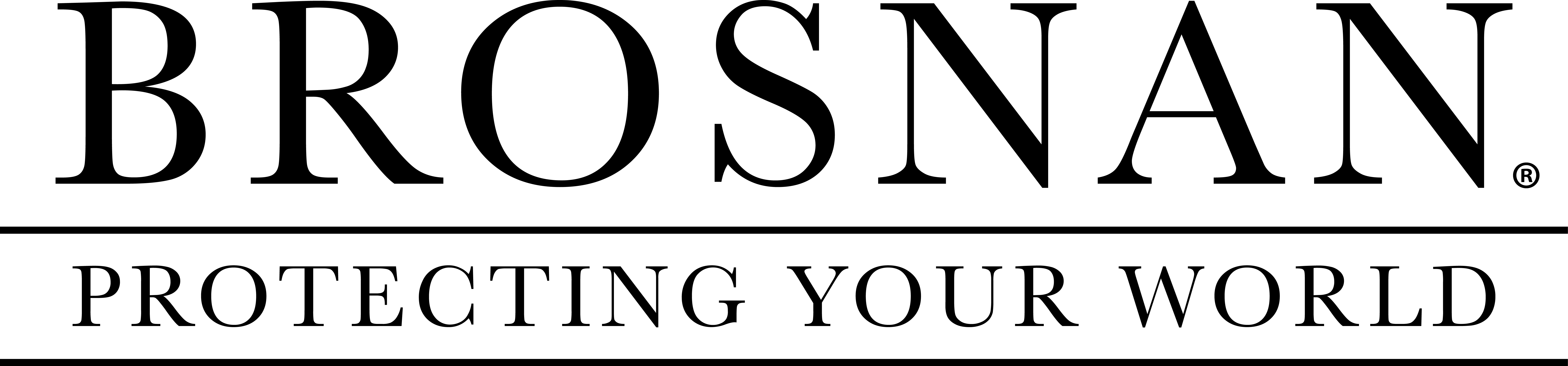 Brosnan Risk Consultants Logo