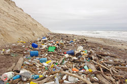 ocean-side plastic pollution