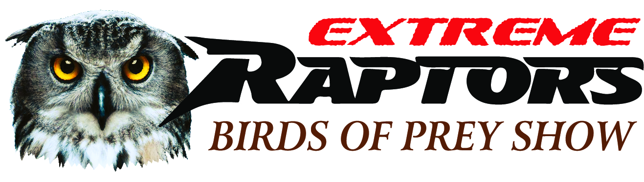 Extreme Raptors Experience
