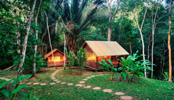 Two softly lit cabins surrounded by Belize rainforest at Chaa Creek