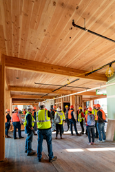 Mass timber construction is sweeping the globe, challenging traditional concrete and steel, in part due to climate change issues.
