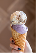 Shoppers can scoop up some Salt & Straw ice cream