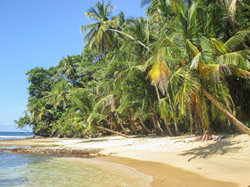Manzanillo beach Caribbean Coast Costa Rica