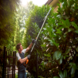 WORX 20V, 20 in. Pole Hedge Trimmer's adjustable head allows precise cutting in hard-to-reach areas.