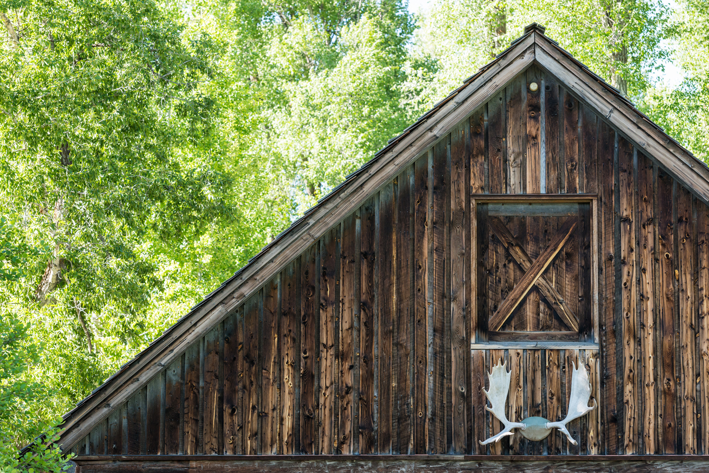 Weathered barn wood was recycled to build this new Wyoming JLF-designed guest house, completely at home in its natural Jackson Hole landscape (photo: Audrey Hall).