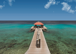 Divi Resorts - Divi Flamingo Beach Resort & Casino, Bonaire