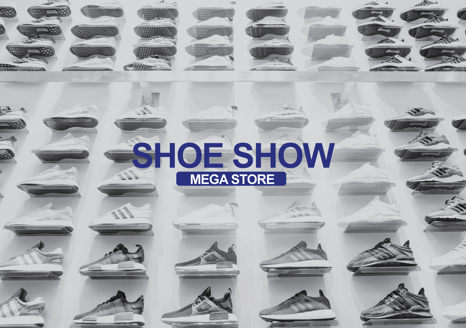 shoe show inc