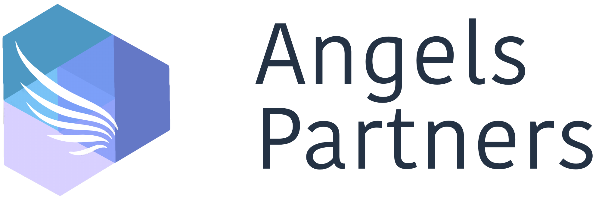 Angels Partners Logo Black