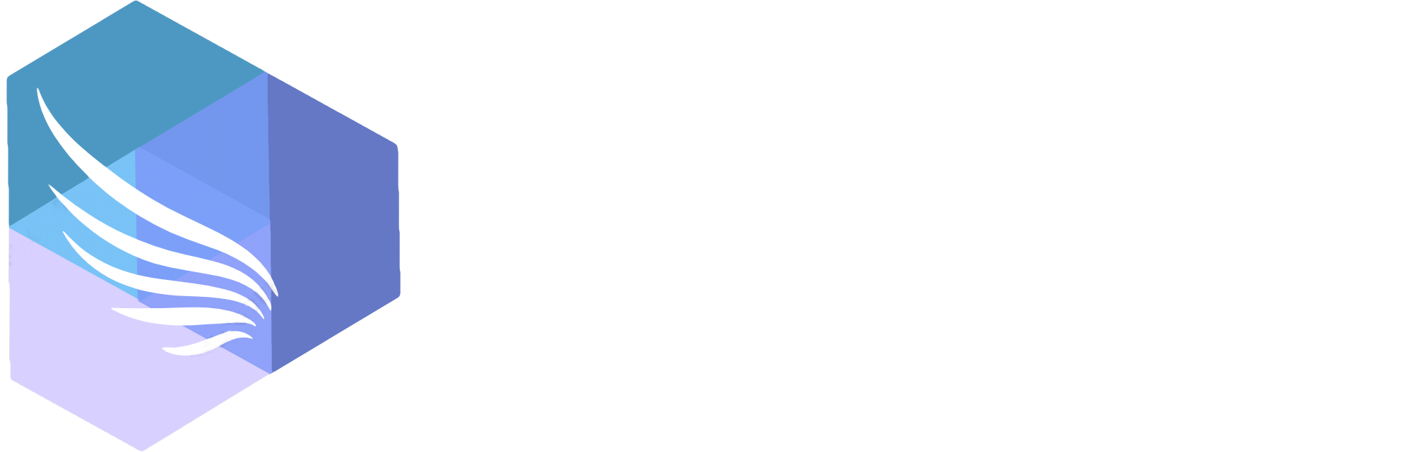 Angels Partners Logo White